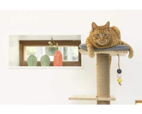 Katze liegt auf einem Kratzbaum mit Sisalstamm und Spielzeug