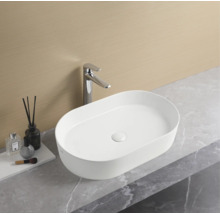 Ovales Aufsatzwaschbecken mit Armatur auf einer Arbeitsplatte im Badezimmer.