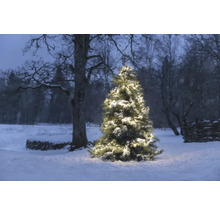 Schneebedeckter Weihnachtsbaum mit Beleuchtung im winterlichen Garten.