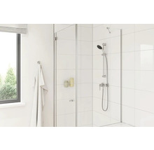 Helles Badezimmer mit Duschabtrennung aus Glas, Handbrause und weißer Fliesenwand.