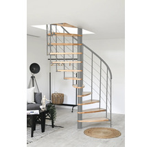 Raumansicht mit einer Wendeltreppe aus Metall und Holz.