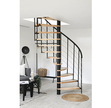 Wendeltreppe mit Holzstufen und schwarzem Metallgeländer in einem Wohnraum.