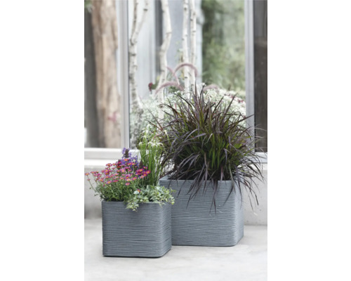 Zwei strukturierte, graue Pflanzgefäße mit Pflanzen
