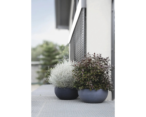 Zwei bepflanzte Pflanzkübel auf einer Terrasse vor einem Gebäude