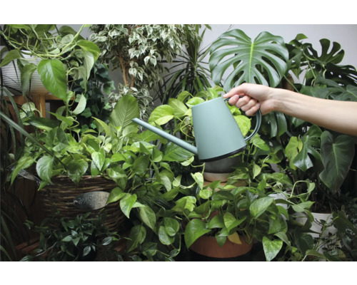 Eine Person gießt Pflanzen mit einer Gießkanne in einem hellen Raum