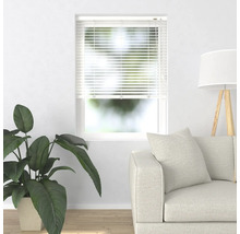 Szene mit Fensterjalousie, Sofa, Zimmerpflanze und Stehlampe in einem hellen Raum.