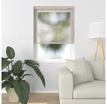 Wohnzimmer mit Fensterjalousie, Pflanze und Sofa