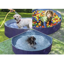 Mehrfachansicht eines Planschbeckens mit einem Kind, das in Bällen spielt, und zwei Hunden, die baden