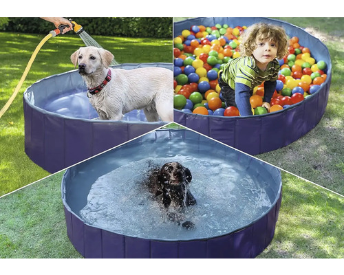 Mehrfachansicht eines Planschbeckens mit einem Kind, das in Bällen spielt, und zwei Hunden, die baden