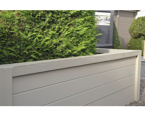 Hochbeet aus Holz und Beton mit grüner Pflanze