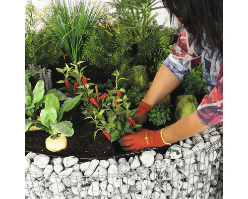 Person bepflanzt ein Hochbeet mit Gemüse und Kräutern.