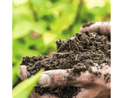 Eine Handvoll Gartenerde mit Pflanzenresten vor grünem Hintergrund.