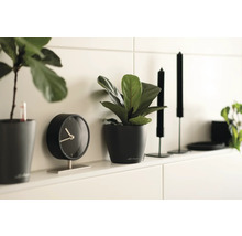 Dekorative Szene mit Topfpflanzen, einer Uhr und Kerzenständern auf einem Regal