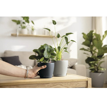 Zwei Lechuza Blumentöpfe mit Pflanzen auf einem Tisch in einem hellen Raum.