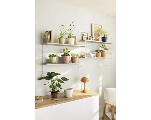 Zwei Regale mit Pflanzen, Büchern und Dekorationsgegenständen an der Wand