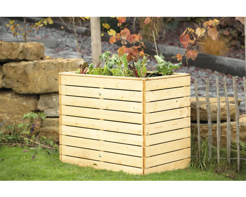 Hochbeet aus Holz mit Salatpflanzen im Garten