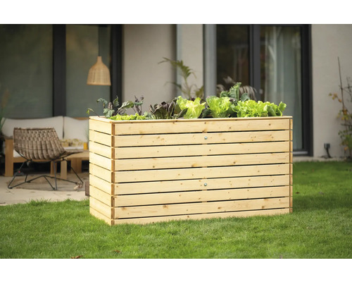 Hochbeet aus Holz mit Salatpflanzen im Garten