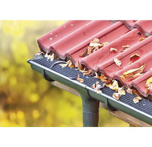 Dachrinne mit Laubschutzgitter und Herbstlaub auf einem Dach