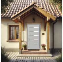 Haustür DW20 Kiefer RAL 9016 verkehrsweiß 1100x2100 mm DIN Links (nach innen öffnend)