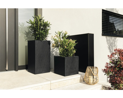 Dekorative Außenszene mit Pflanzen in Pflanzgefäßen