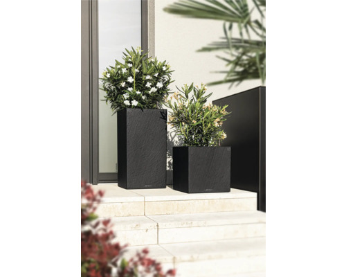 Zwei schwarze Pflanzkübel in verschiedenen Formen mit Pflanzen vor einem Gebäude