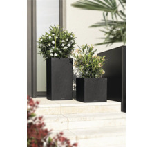 Zwei Pflanzgefäße aus Kunststoff mit Pflanzen auf einer Treppe.