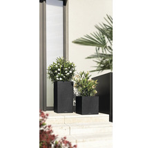 Zwei Pflanzgefäße aus Kunststoff in unterschiedlicher Größe mit Pflanzen davor