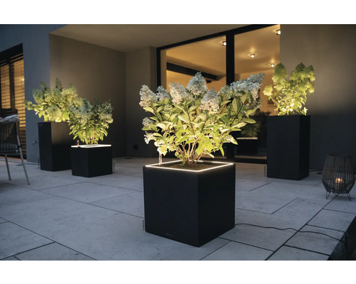 Beleuchtete Pflanzgefäße mit Pflanzen auf einer Terrasse