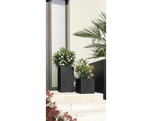 Zwei schwarze Pflanzkübel aus Kunststoff in unterschiedlichen Größen mit Pflanzen
