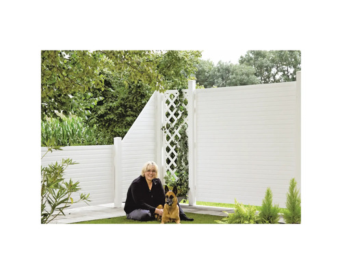 Szene mit einem weißen Gartenzaun, einer Frau und einem Hund im Garten