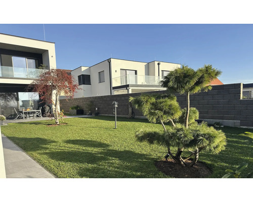 Garten mit Rasenfläche, Bäumen und einem modernen Wohnhaus im Hintergrund.