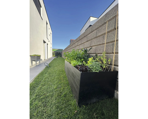 Garten mit Hochbeet, bepflanzt mit Gemüse und Kräutern, entlang einer Steinmauer
