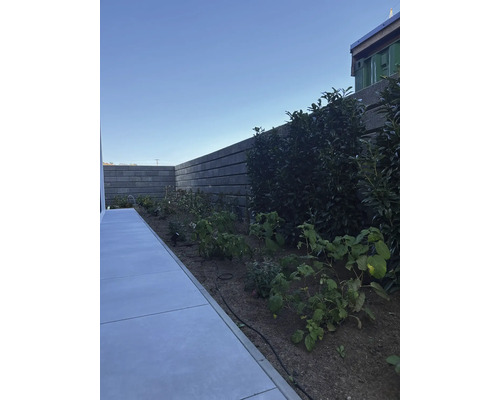 Garten mit Stützmauer aus Betonsteinen und Bepflanzung