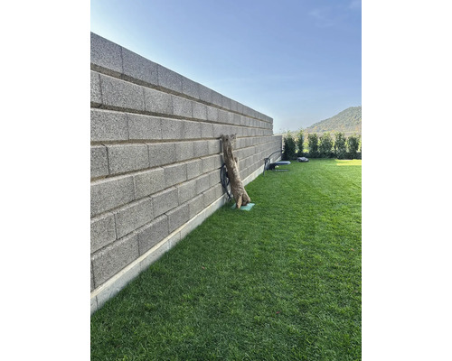 Garten mit Rasen und Mauer aus Betonsteinen