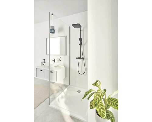 Badezimmer mit Dusche, Waschbecken, Spiegel und Pflanze