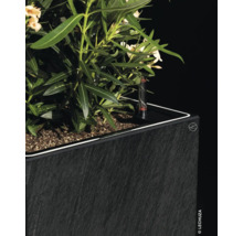 Blumenkasten mit Bewässerungssystem und Pflanze