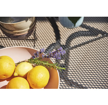 Dekorative Szene mit Zitronen und Lavendel auf einem Gartentisch