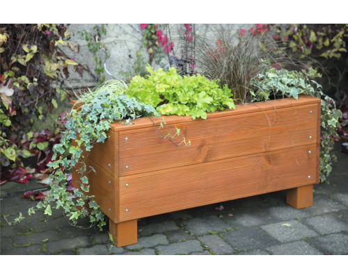 Holzpflanzkasten mit verschiedenen Pflanzen