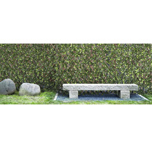 Szene mit künstlicher Hecke, Steinbank und zwei Steinen im Garten