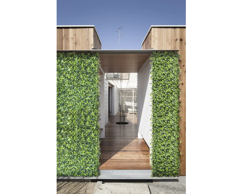 Dekorative grüne Pflanzenwand an einem Hauseingang mit Holzboden