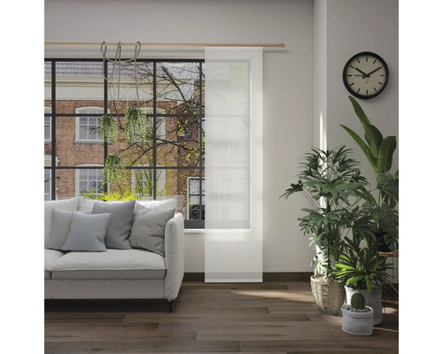 Wohnzimmer mit Sofa, Zimmerpflanzen, Uhr und Schiebegardine vor dem Fenster