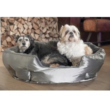 Zwei Hunde liegen in einem grauen Hundebett.