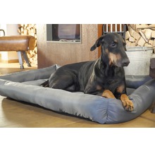 Dobermann liegt in einem grauen Hundebett