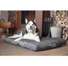 Husky liegt auf einem grauen Hundebett im Innenbereich.
