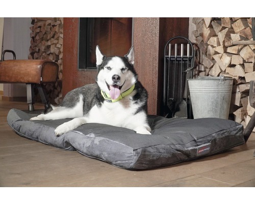 Husky liegt auf einem grauen Hundebett im Innenbereich.