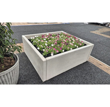 Quadratischer Betonblumenkasten mit Blumenbepflanzung.