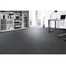 Büro mit grauer Auslegware, Schreibtisch und Regal