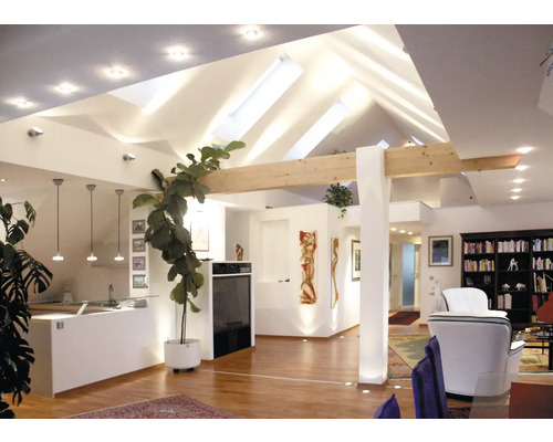 Helles Wohnzimmer mit Küche, Essbereich und Bücherregal