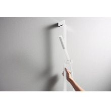 Duschstange mit Handbrause an der Wand