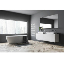 Designheizkörper DUO 12 920x500 mm weiß Anschluss Beidseitig unten